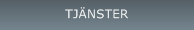 Tj&auml;nster